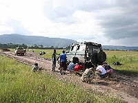 Mud Maps Africa Ngorongoro NP 2160.JPG